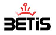 BETIS I VE DIS TIC. LTD. STI.